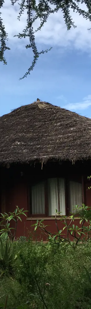 Kilimanjaro Airport